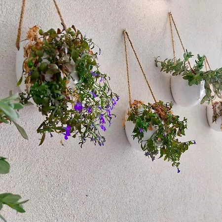 Seagreen Deluxe Apartment *